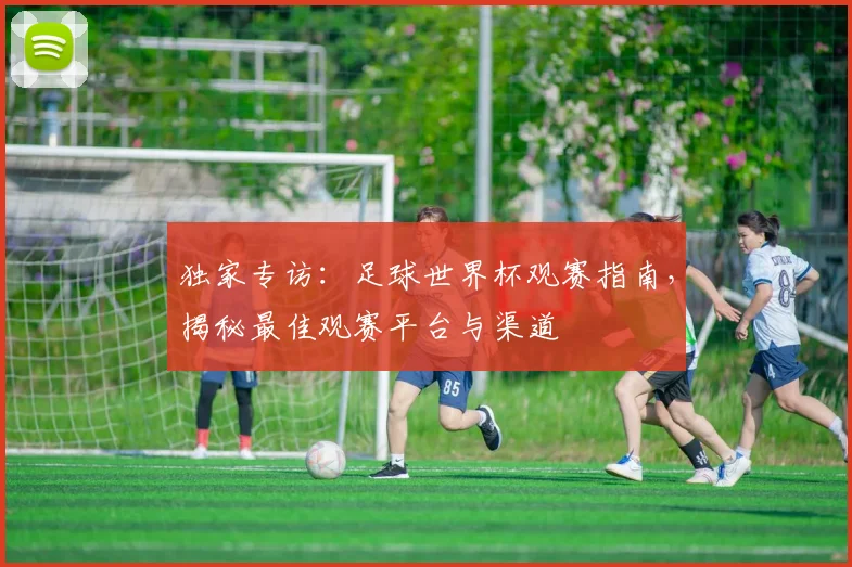 独家专访:足球世界杯观赛指南,揭秘最佳观赛平台与渠道